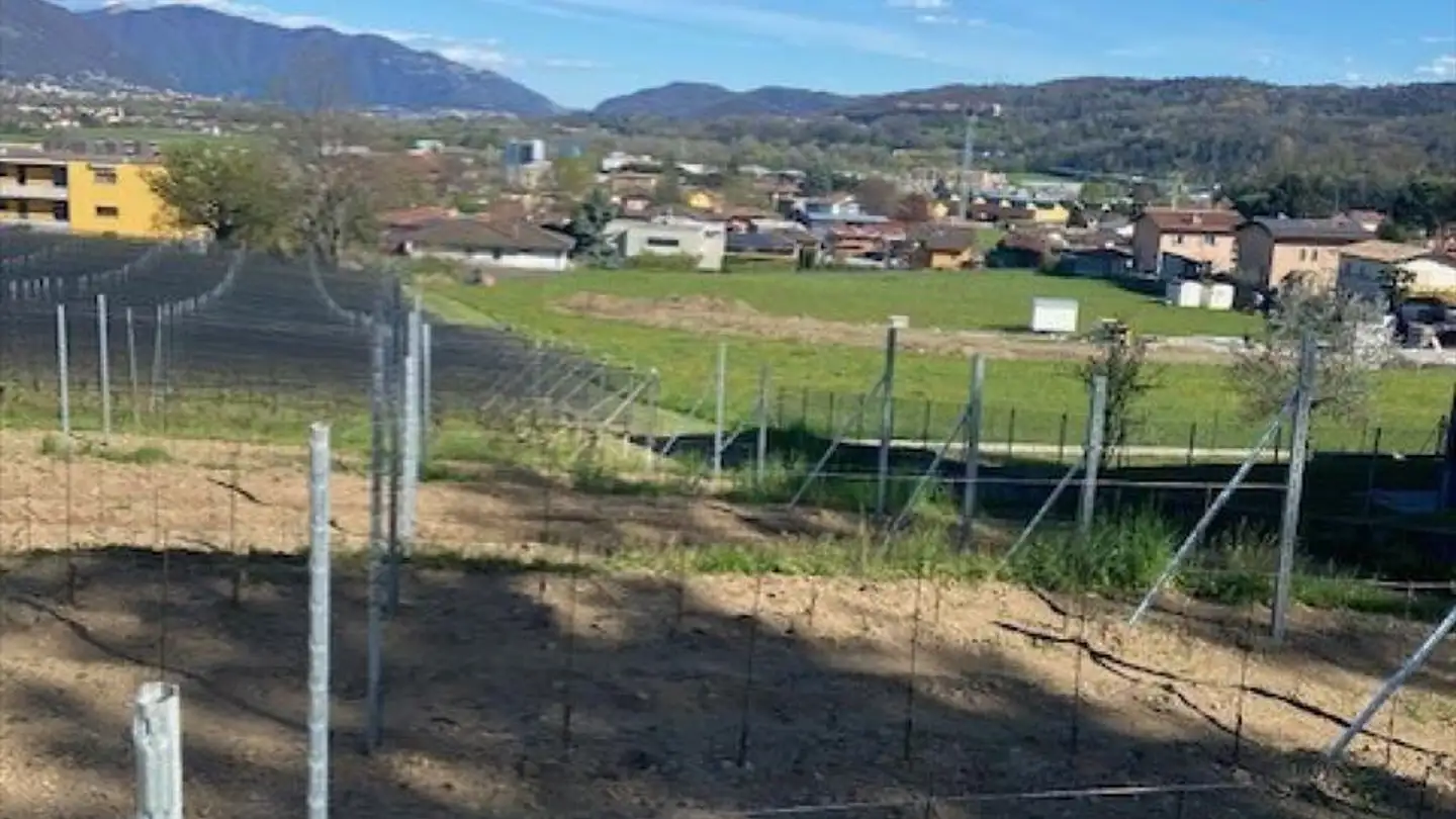 Constructible plot for sale - 6855 Stabio - Photo 4