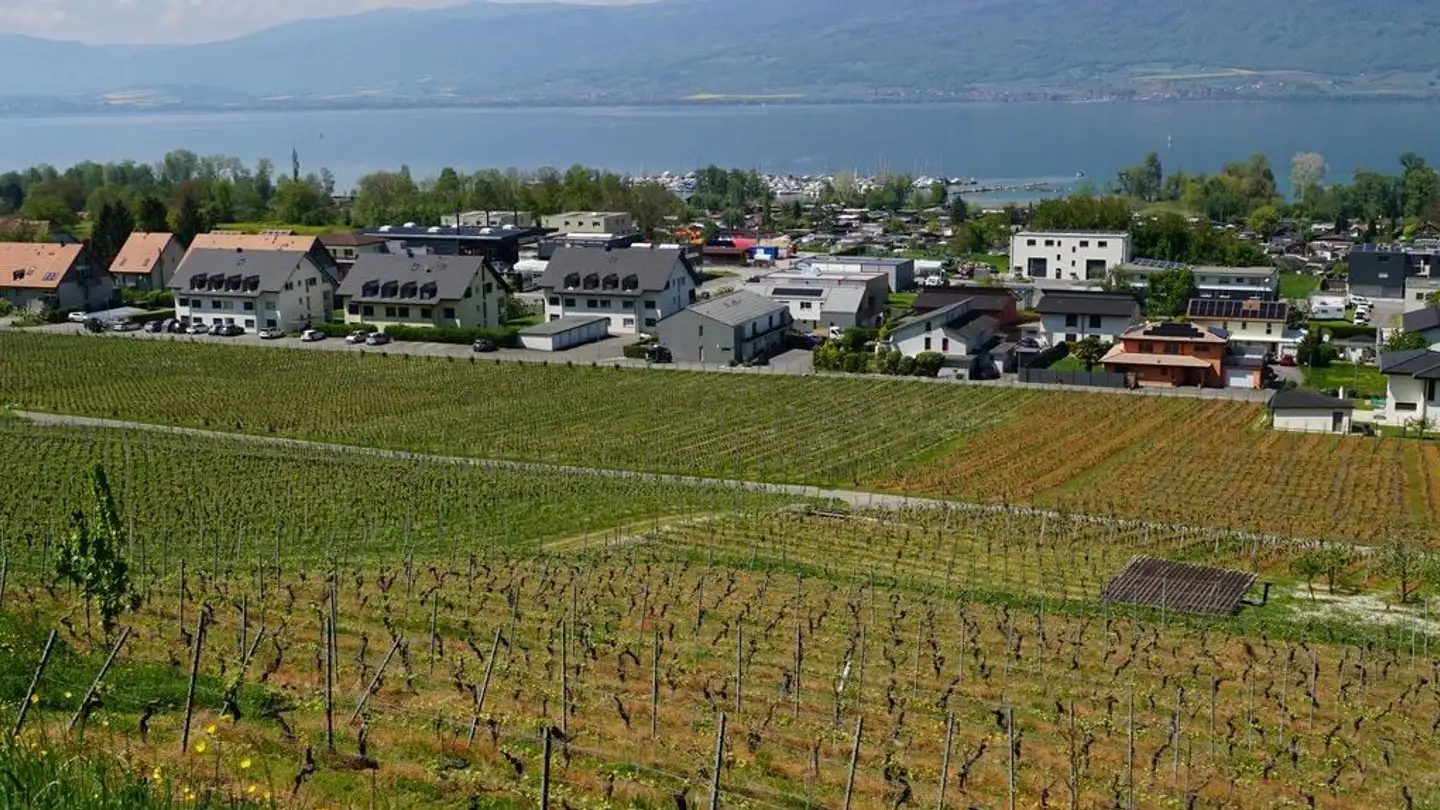 Casa singola in vendita - Route De Vaularbel 50, 1468 Cheyres - Photo 4