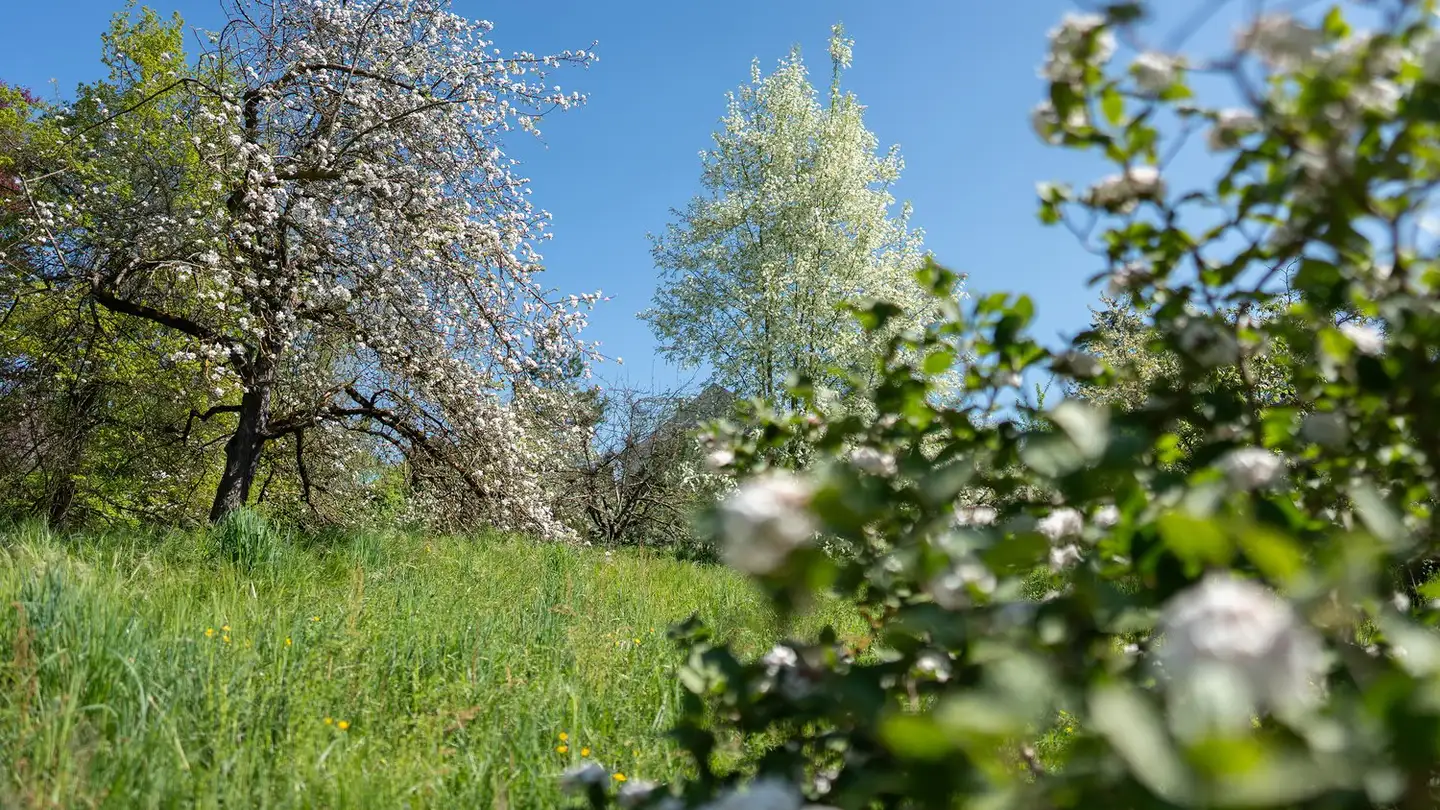 Single house for sale - 1580 Avenches - Photo 3