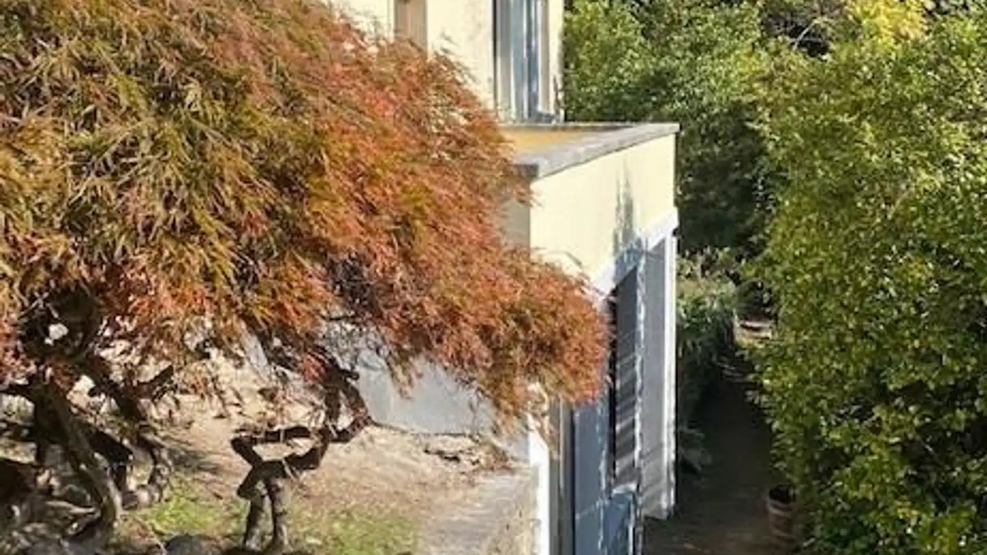 Casa singola in vendita - 6600 Locarno - Photo 4