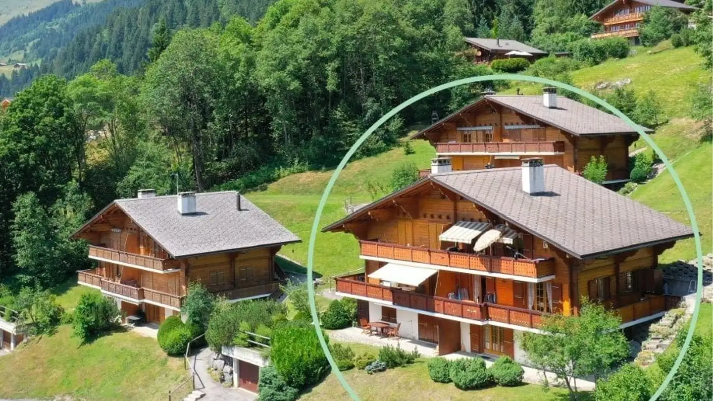 Appartamento in affitto - Chemin Du Crétêt Au Rot, 1865 Les Diablerets - Foto 2