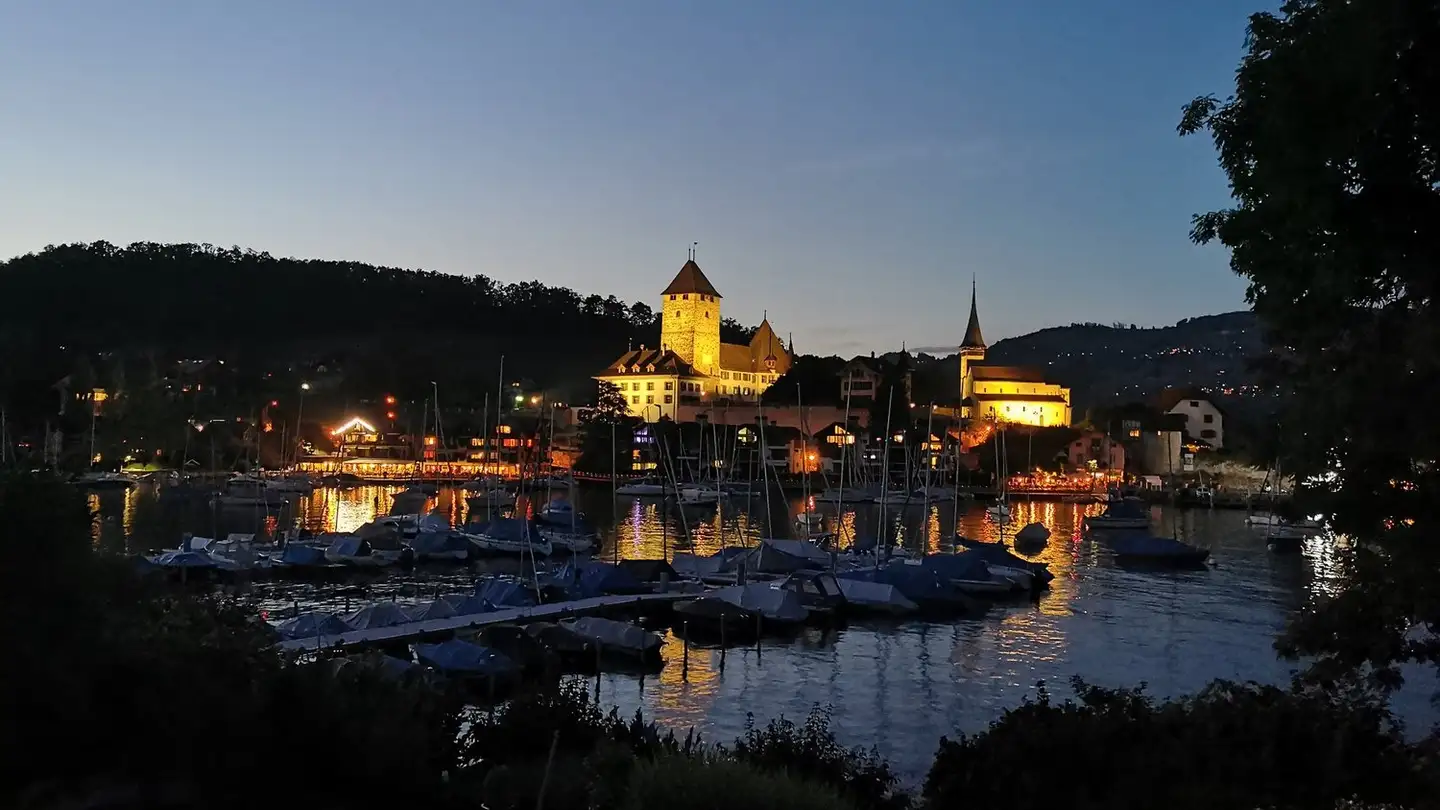 Apartment for rent - Erlenweg 3, 3700 Spiez