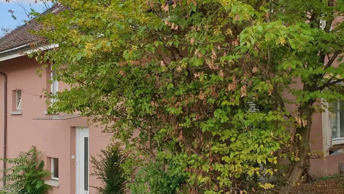 Casa singola in affitto - Eichstrasse 25, 8712 Stäfa