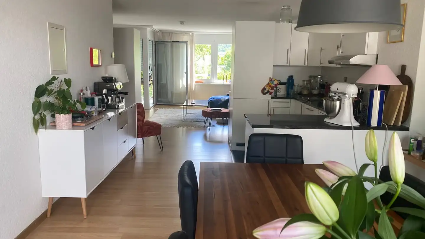 Furnished apartment for rent - 8050 Zürich