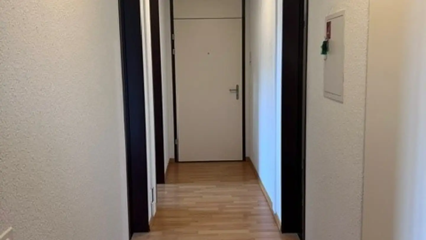 Appartamento in affitto - Voltastrasse 40, 6005 Luzern - Foto 3