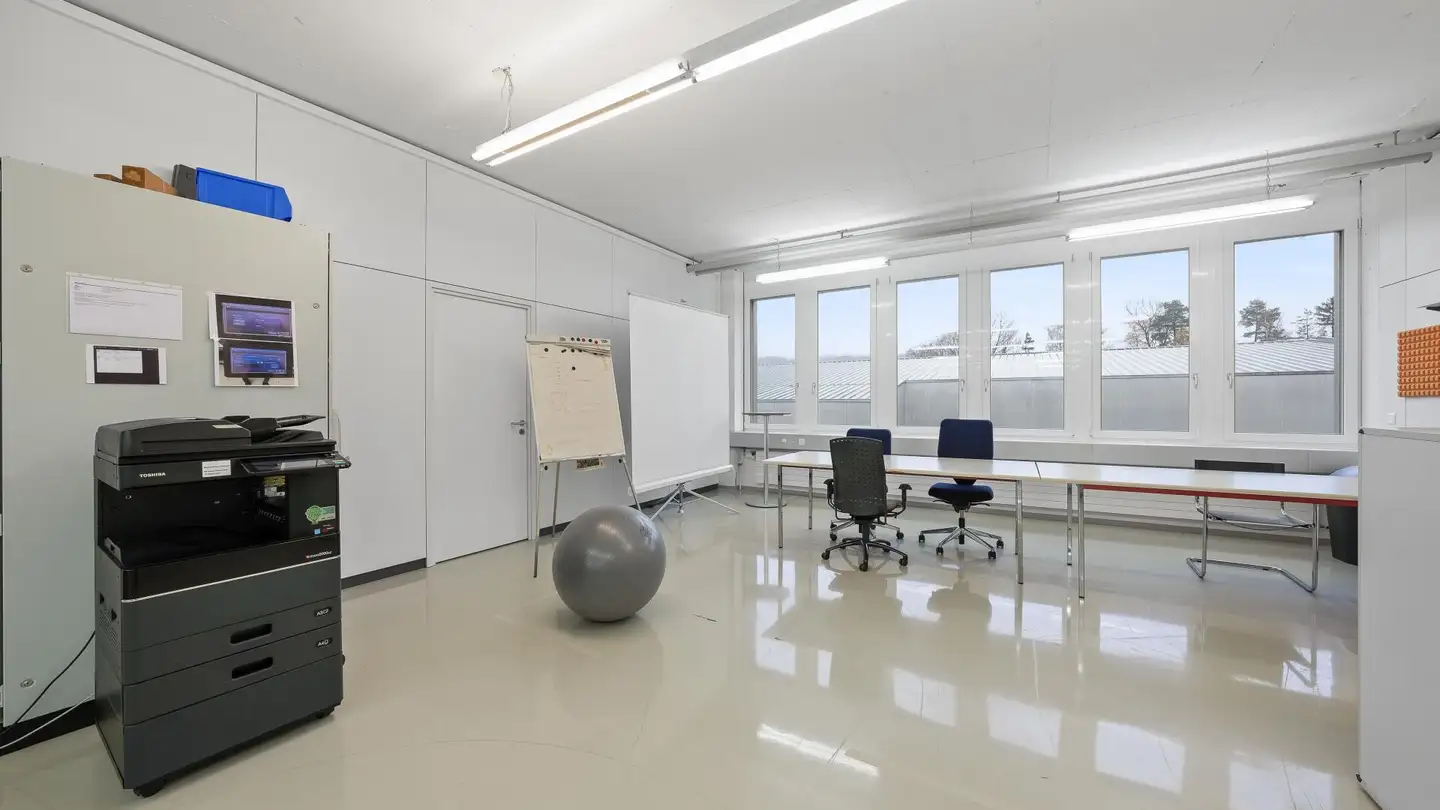 Commerciale in affitto - Fährhüttenstrasse 21, 9477 Trübbach - Photo 3