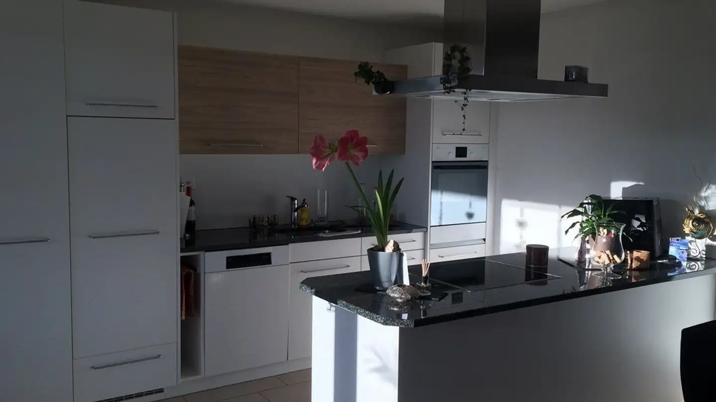 Appartamento in affitto - Lindenplatz 8, 5042 Hirschthal - Photo 2