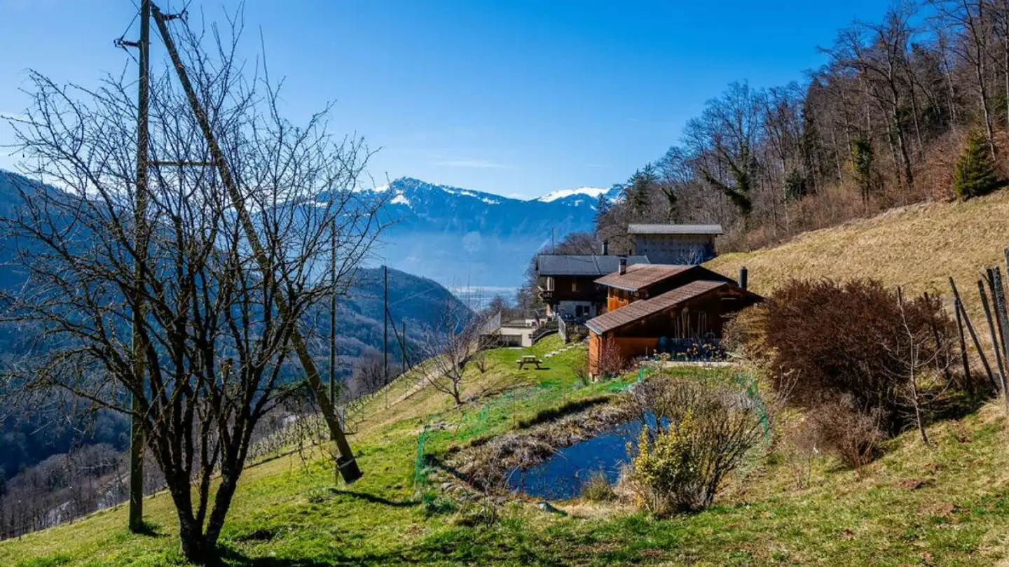 Casa singola in vendita - Les Afforêts, 1860 Aigle - Photo 3