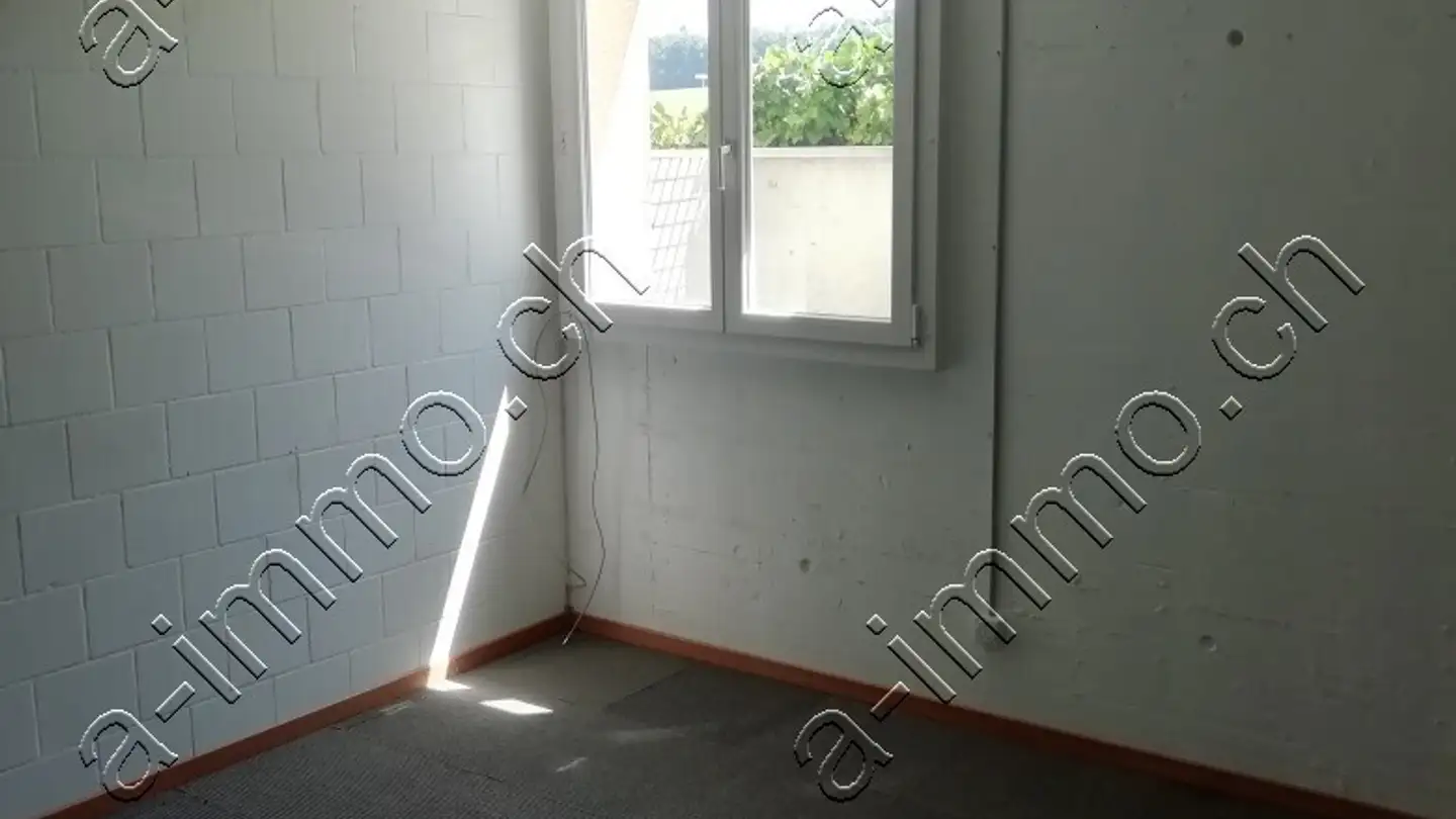 Atelier à louer - Lyssstrasse 22, 3270 Aarberg - Photo 4