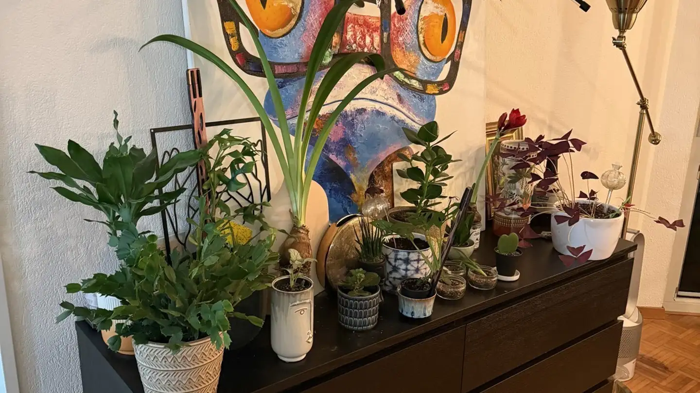 Single room for rent - 5400 Baden - Photo 4