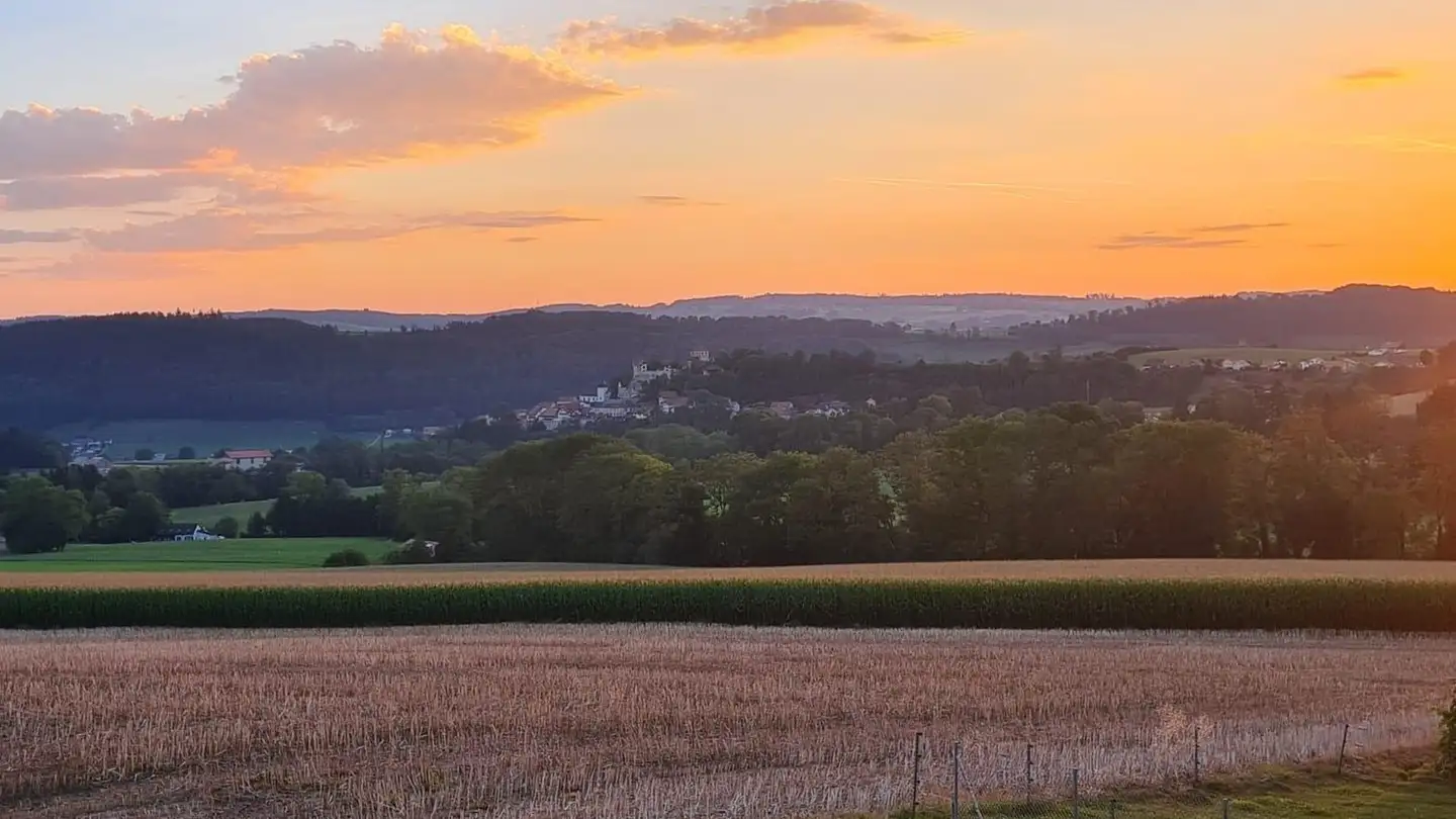 Appartamento in affitto - Vauderens, 1675 Vauderens - Photo 2