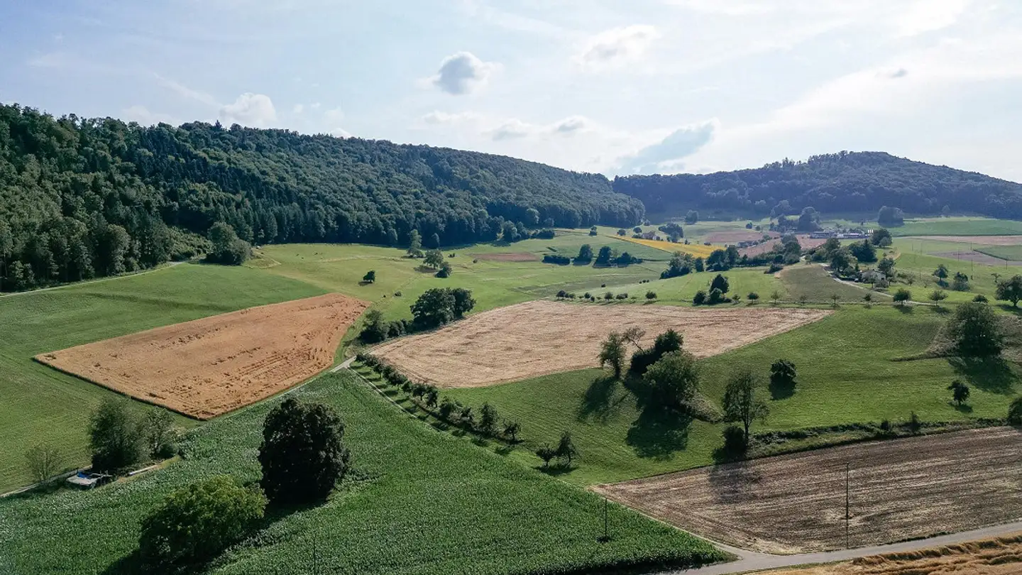 Bauernhof kaufen - Büntenmättlistrasse 2, 5237 Mönthal - Foto 3