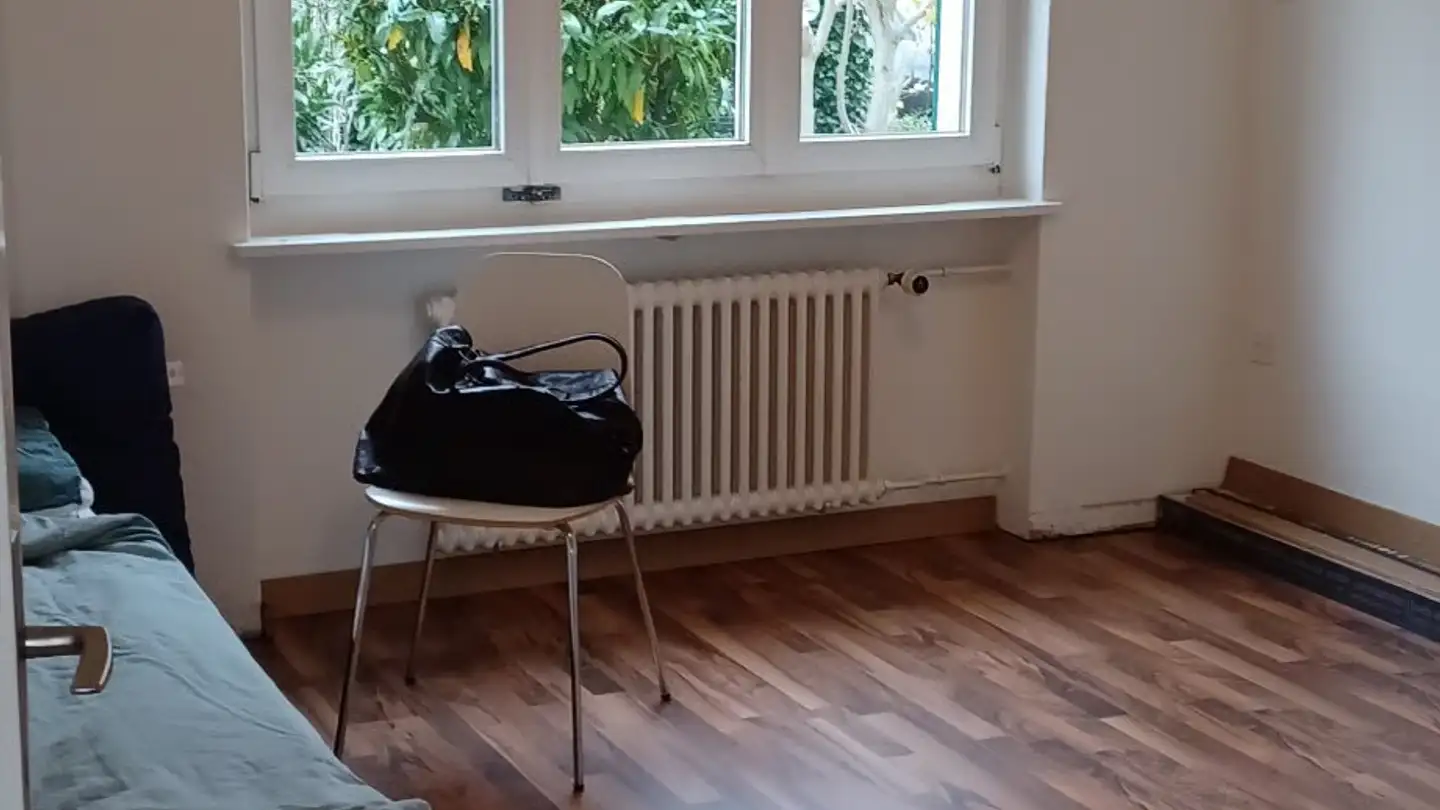 Chambre à louer - Hotzestrasse, 8805 Richterswil