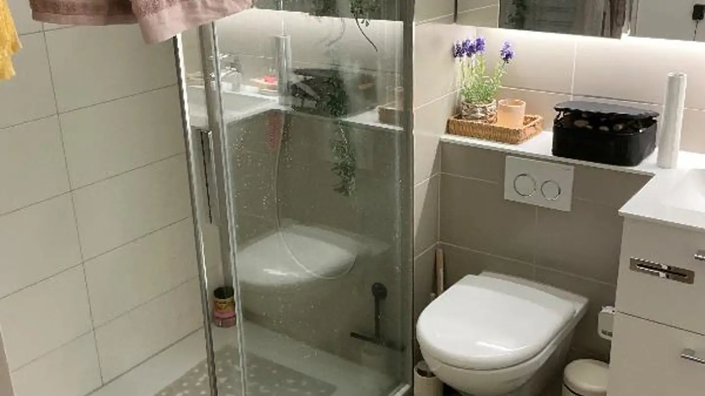 Appartamento in affitto - Steinenvorstadt 27, 4051 Basel - Foto 4