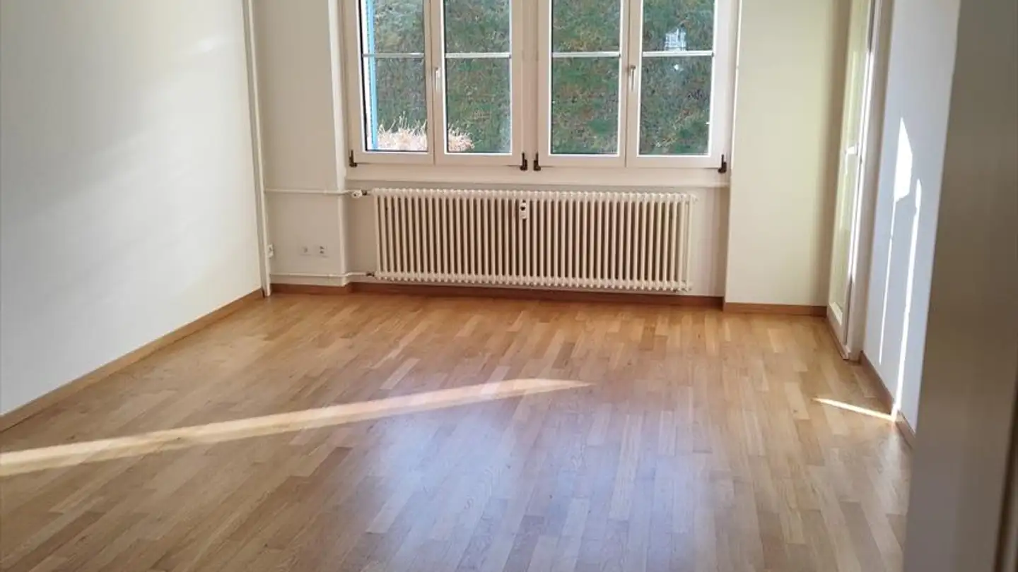 Appartamento in affitto - Birseckstrasse 50, 4142 Münchenstein - Photo 4