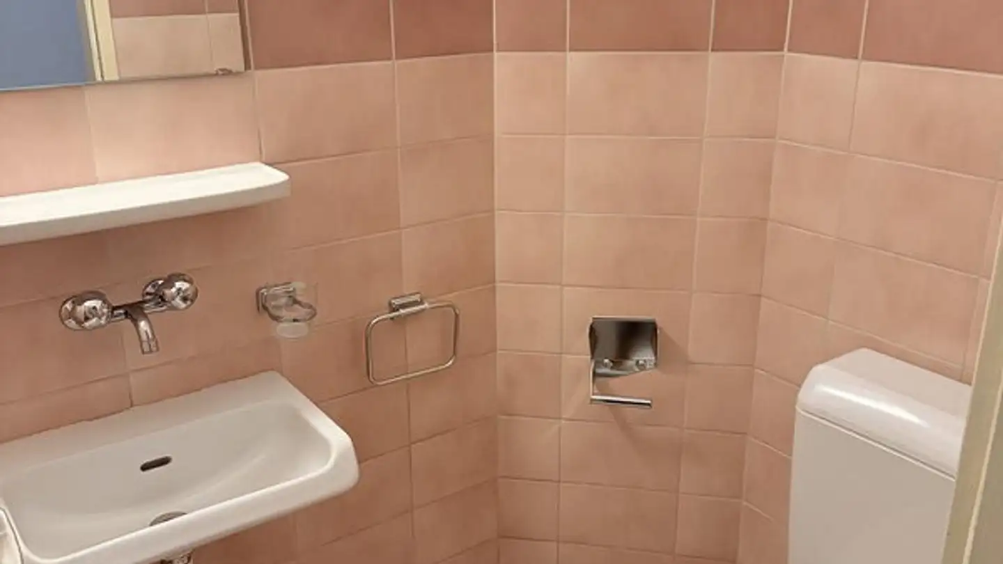 Appartement à louer - Hauptstrasse 35, 4242 Laufen - Photo 3