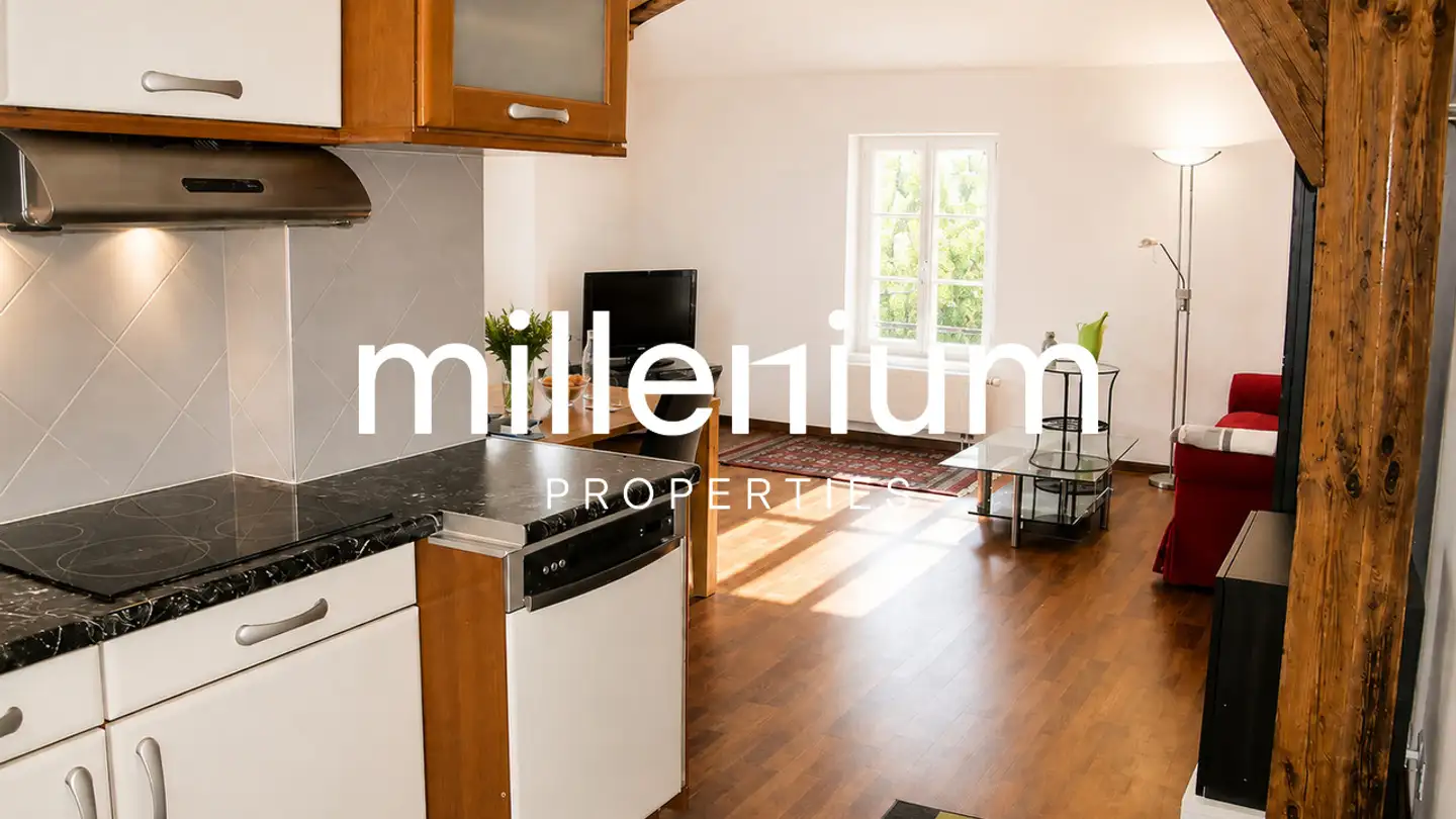 Stepped apartment for rent - 1213 Petit-Lancy - Photo 4