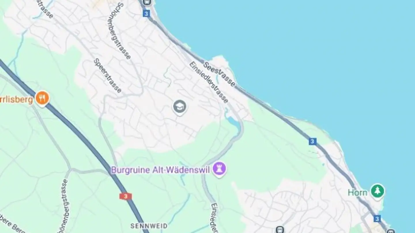 Residential building for sale - 8820 Wädenswil