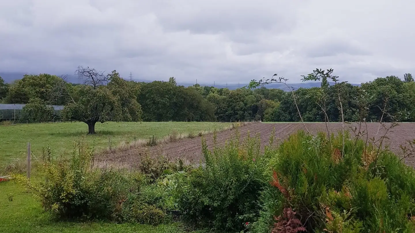 Stanza singola in affitto - Rue Du Village, 1277 Arnex-sur-Nyon - Photo 3