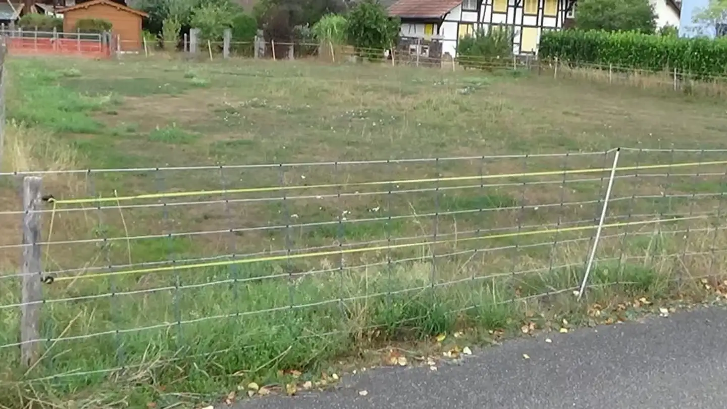 Constructible plot for sale - Hofstrasse, 4912 Aarwangen