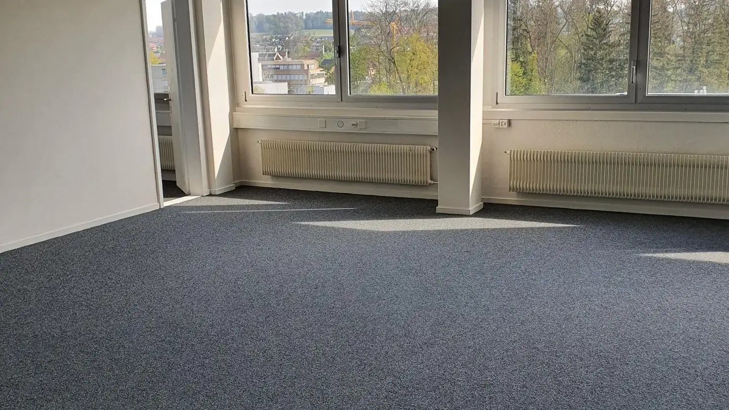Commercial à louer - Althardstrasse 160, 8105 Regensdorf - Photo 4