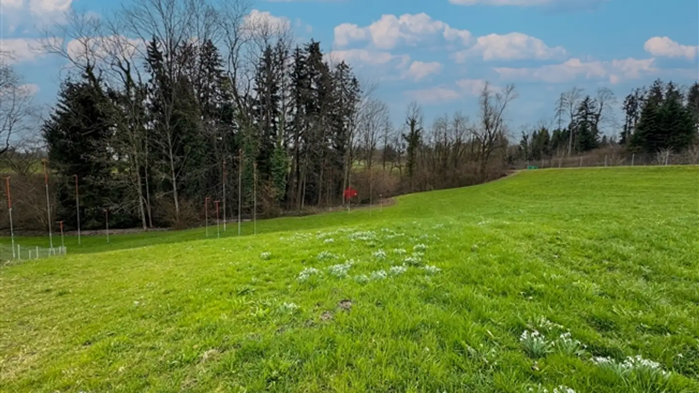 Wohnung kaufen - Landquart, 9305 Berg SG