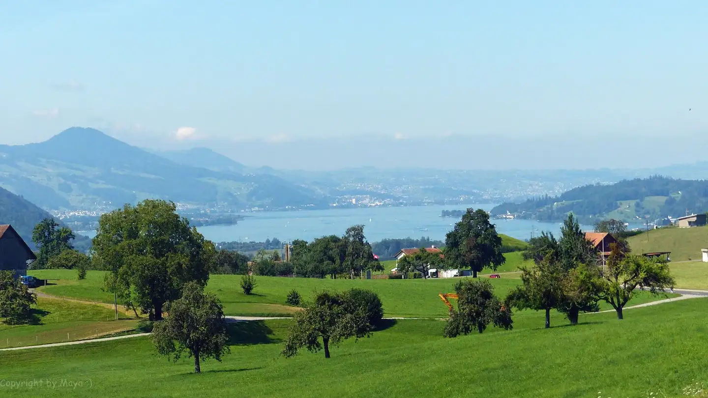 Attique à vendre - Riedenstrasse 16, 8737 Gommiswald - Photo 2