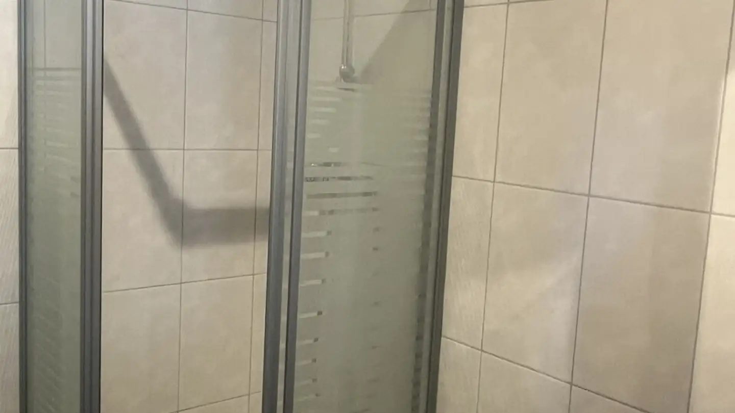 Single room for rent - Route De La Collure, 1854 Leysin - Photo 3