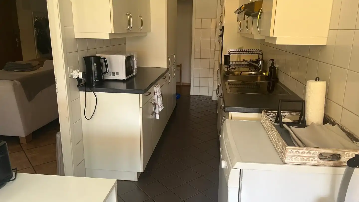 Appartamento in affitto - Chemin Des Coudriers 44, 1209 Genève - Foto 3