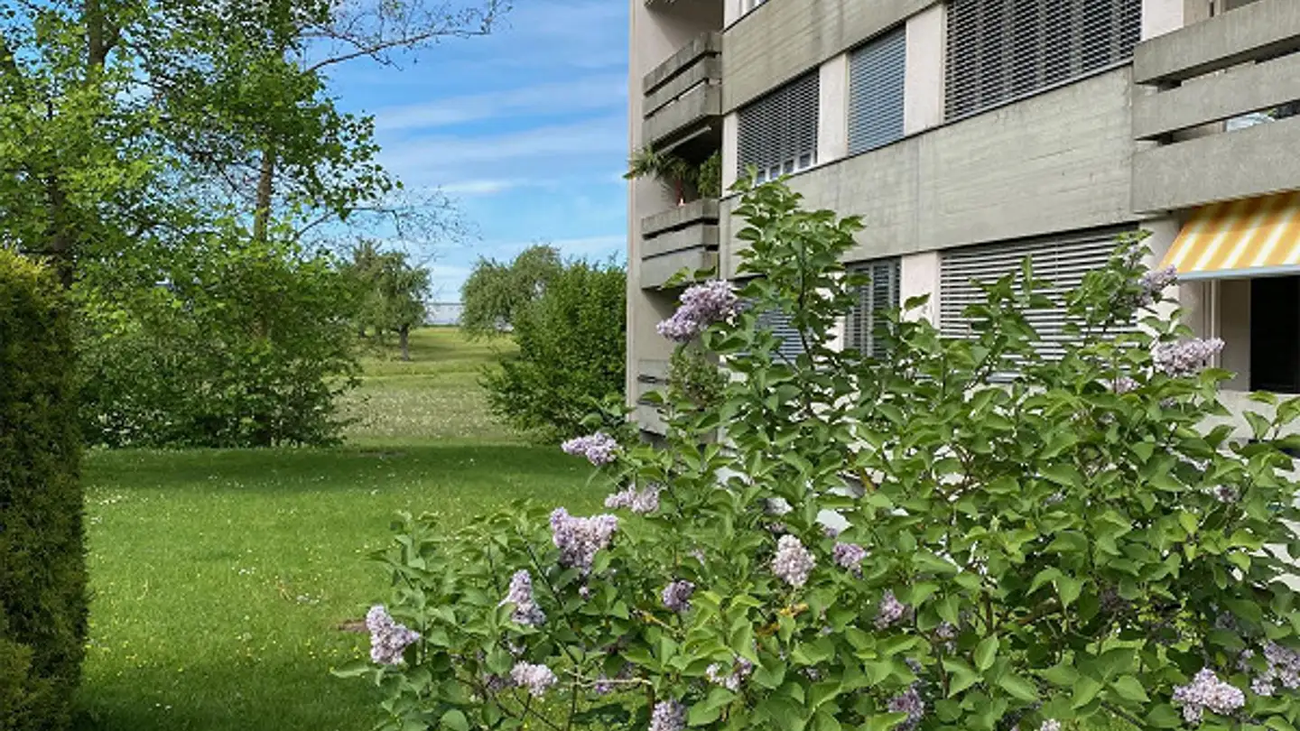 Appartement à louer - Wuhrstrasse 11, 8580 Amriswil