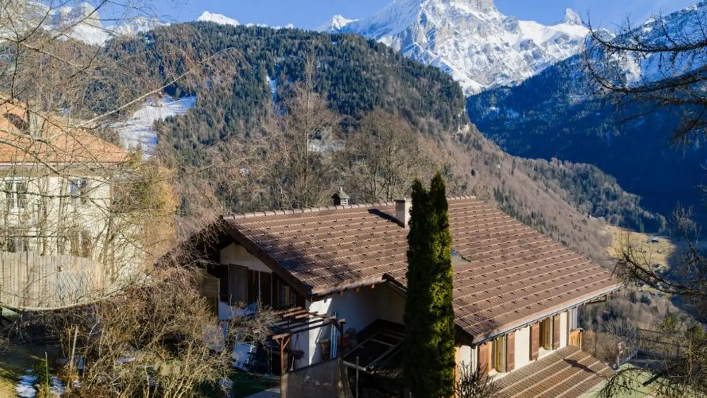 Chalet kaufen - Chemin de la Bergerie 8, 1882 Gryon