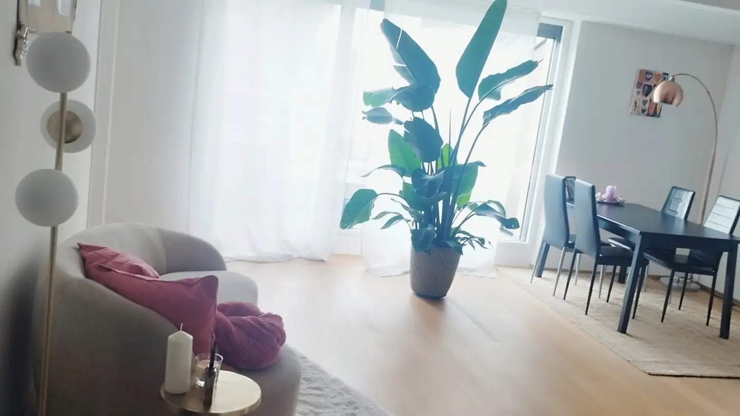 Single room for rent - 8426 Lufingen - Photo 2