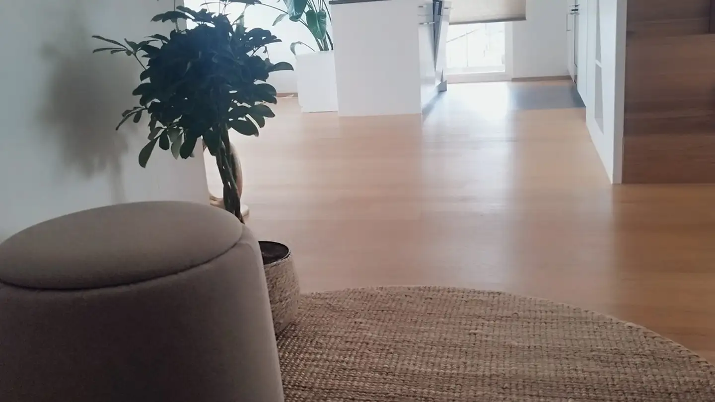 Single room for rent - 8426 Lufingen - Photo 4