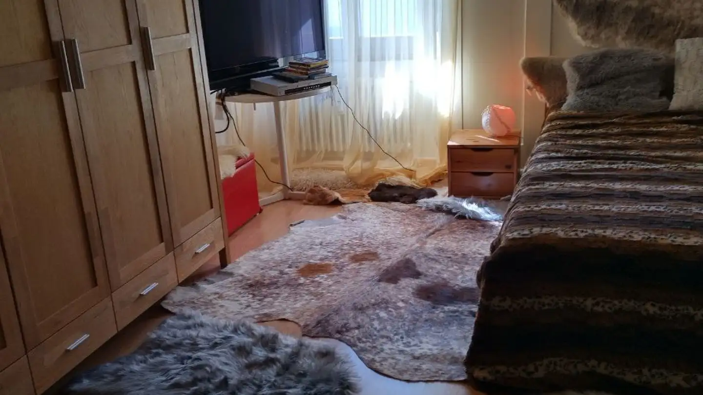 Stanza singola in affitto - 8215 Hallau - Photo 4