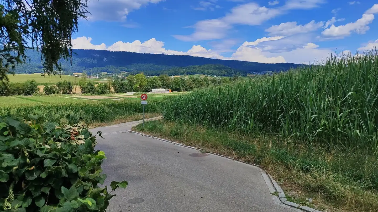Maison individuelle à louer - Hertistrasse 13, 8115 Hüttikon - Photo 4