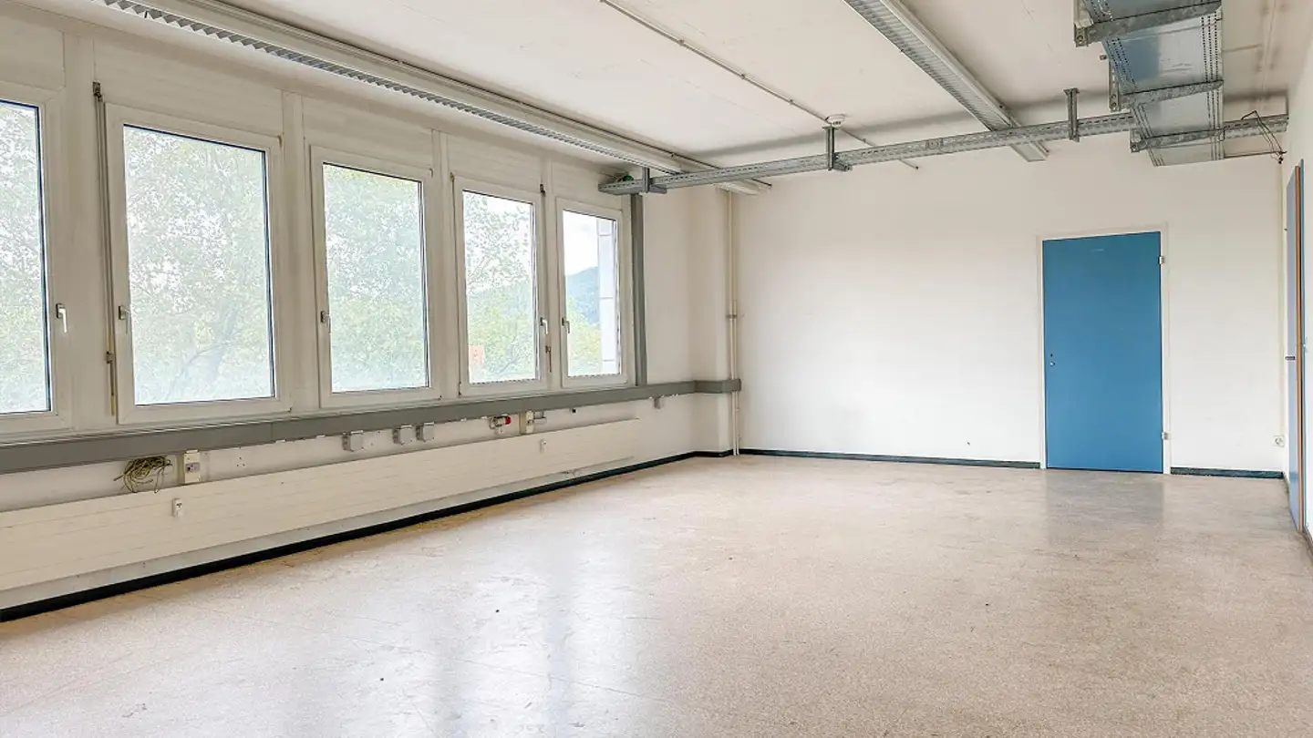 Gewerbe mieten - Christoph Merian-Ring 23, 4153 Reinach BL