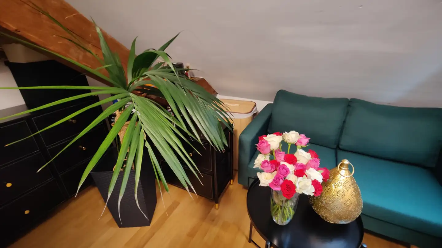 Single room for rent - 4054 Basel - Photo 2