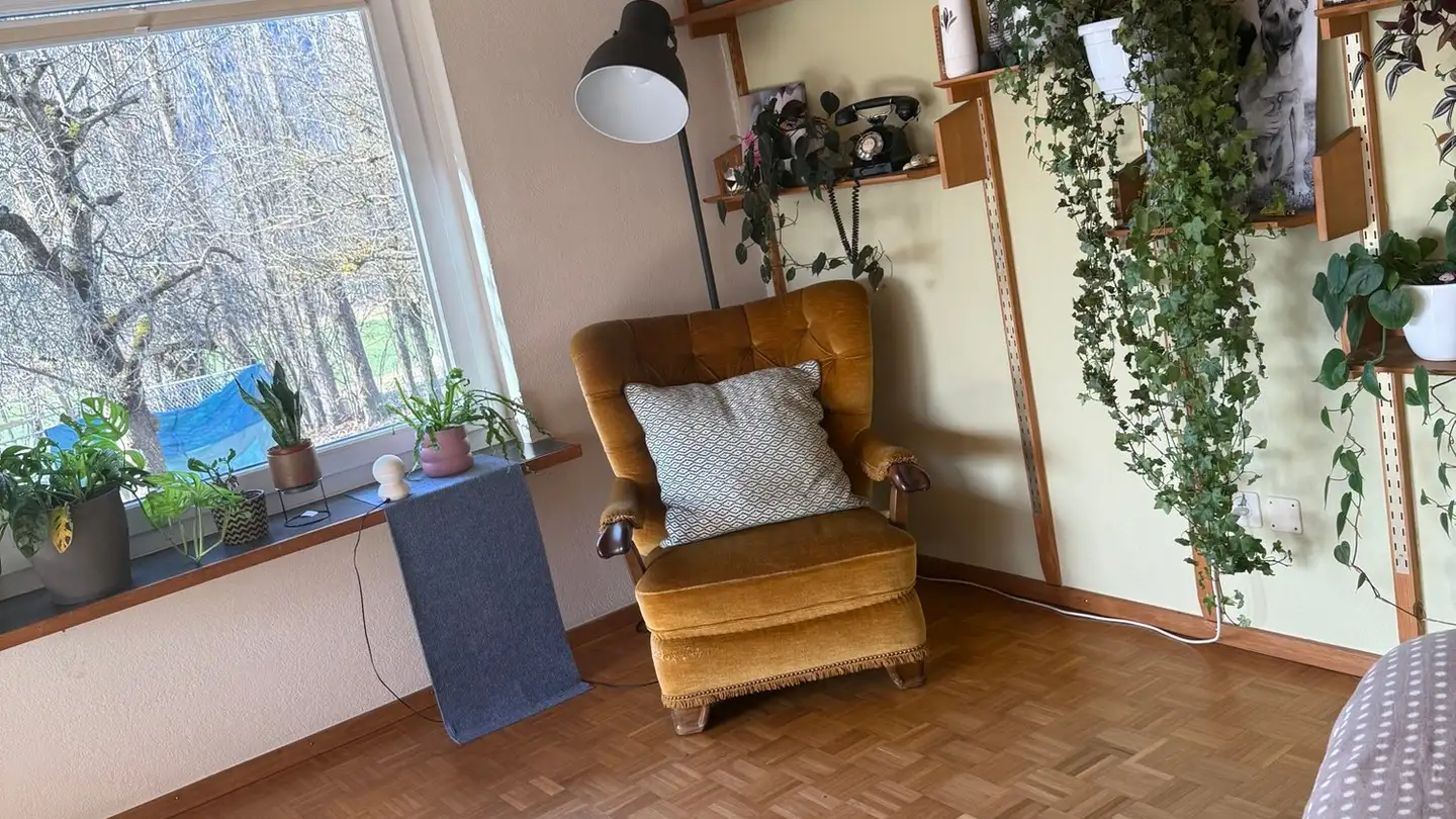 Single room for rent - 7417 Paspels - Photo 4