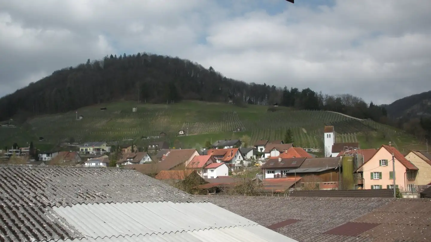 Wohnung mieten - Rinikerstrasse 4a, 5236 Remigen - Foto 2
