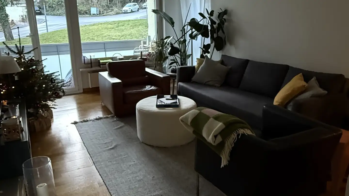 Appartement à louer - Feldblumenstrasse 94, 8134 Adliswil - Photo 3