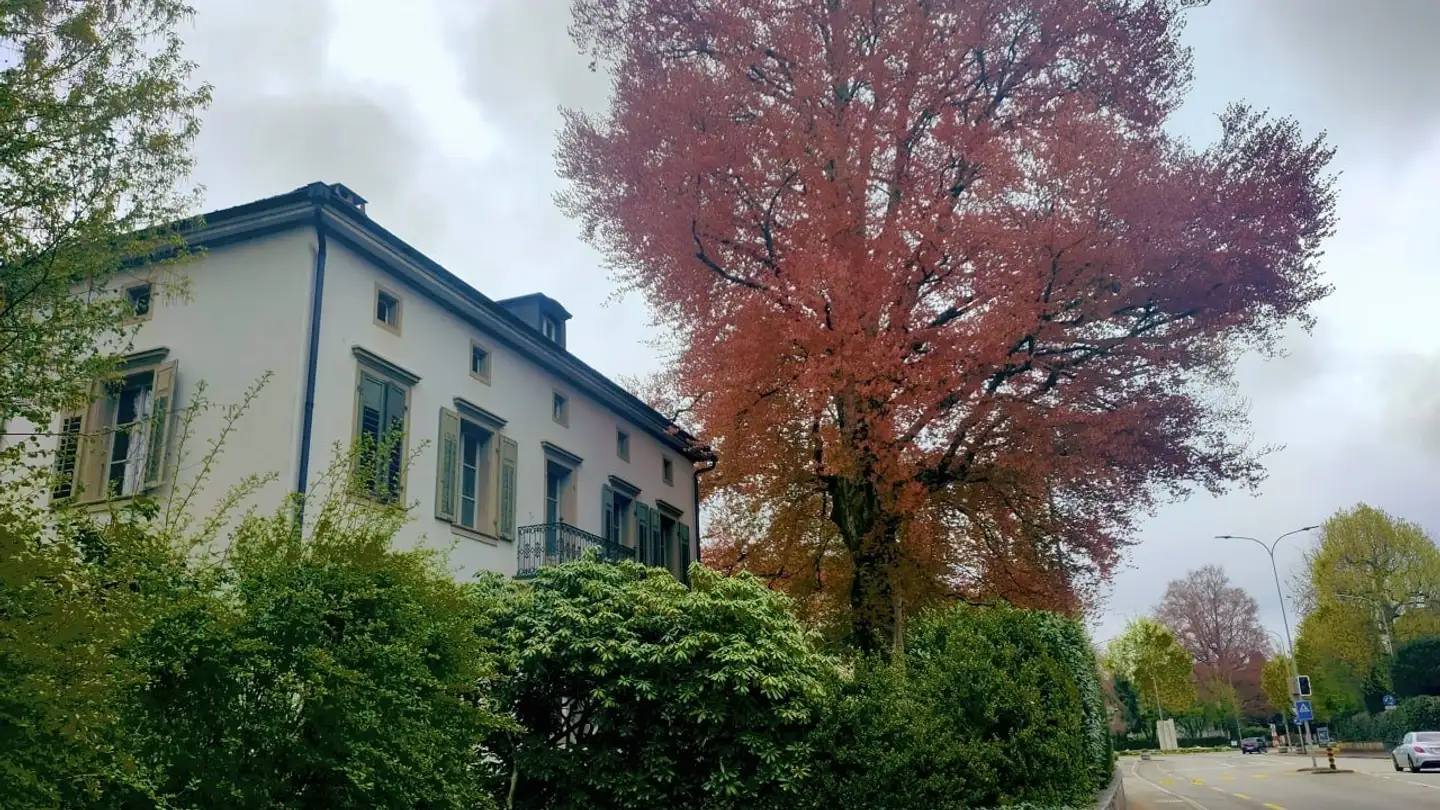 Single room for rent - 4900 Langenthal