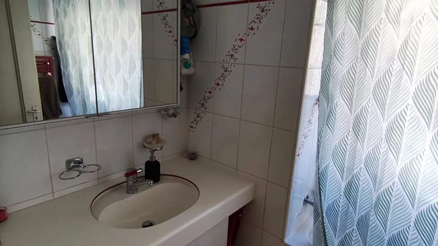 Casa singola in affitto - Glatttalstrasse 117, 8052 Zürich - Foto 4