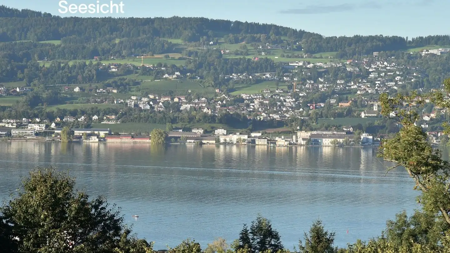 Apartment for sale - 8820 Wädenswil