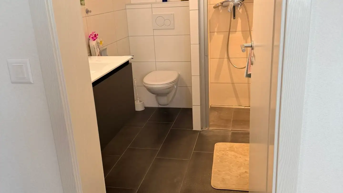 Villa in affitto - Le Blessoné, 1652 Botterens