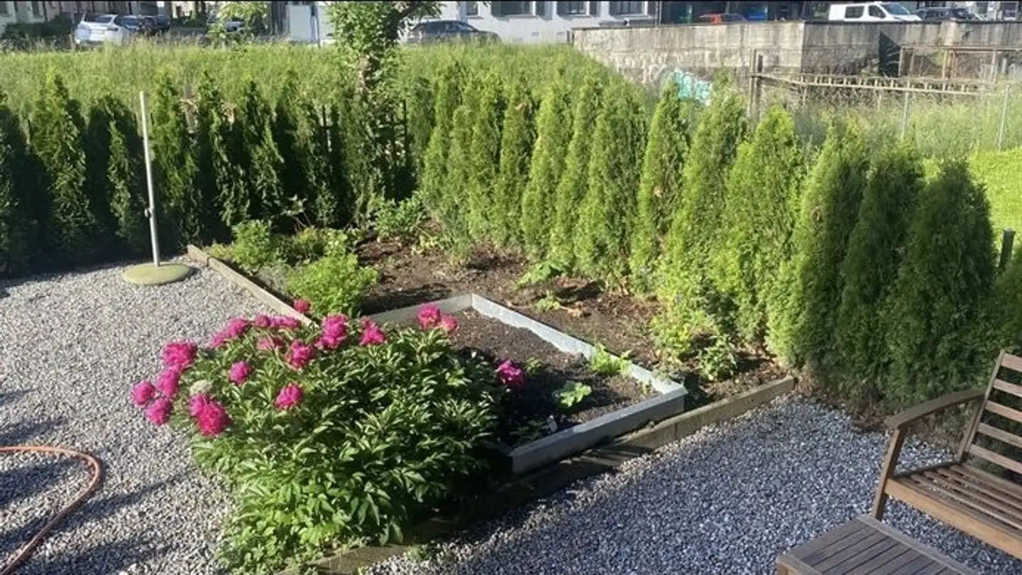 Stanza singola in affitto - 6003 Luzern - Photo 2