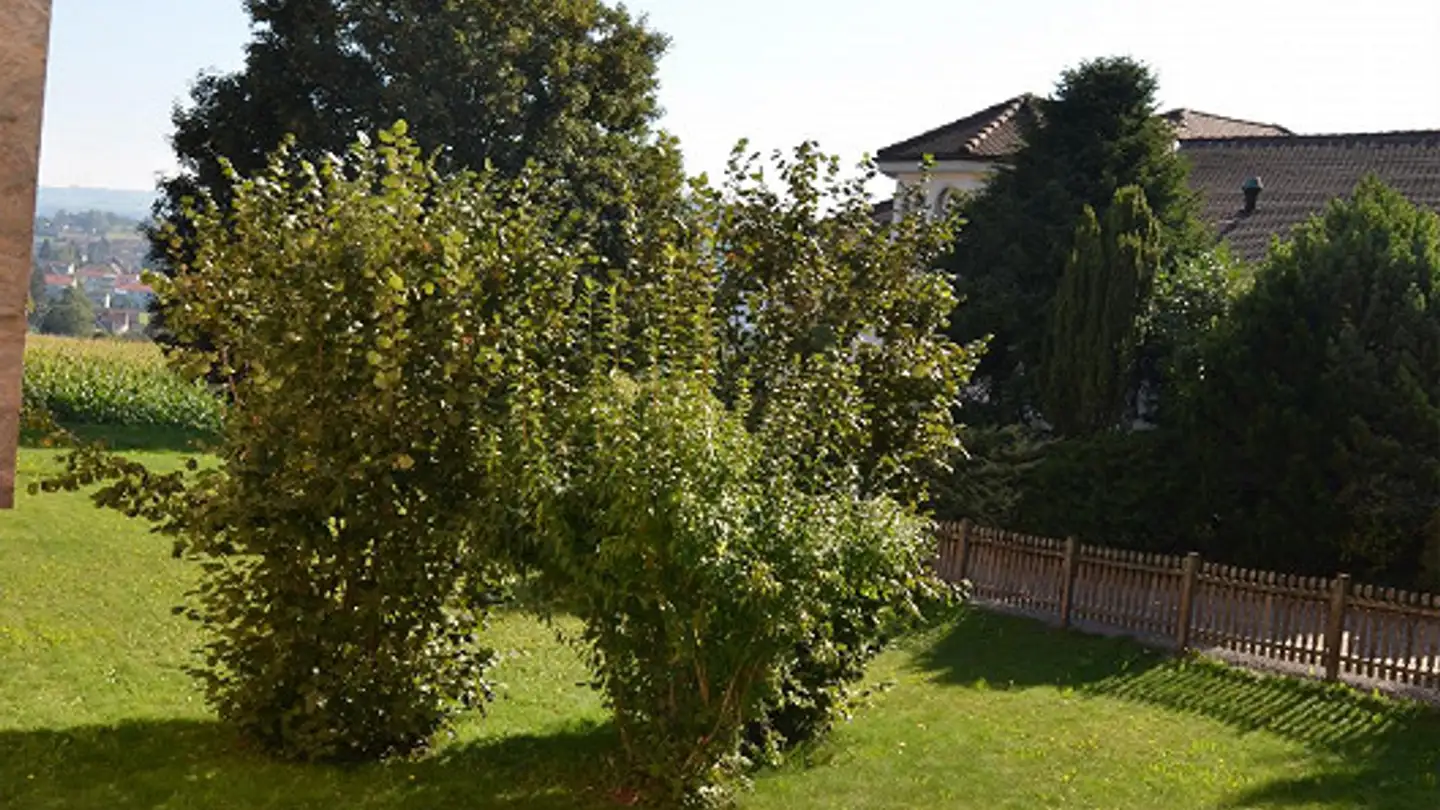 Appartement à louer - Heinimoosstrasse 24, 5734 Reinach AG - Photo 4