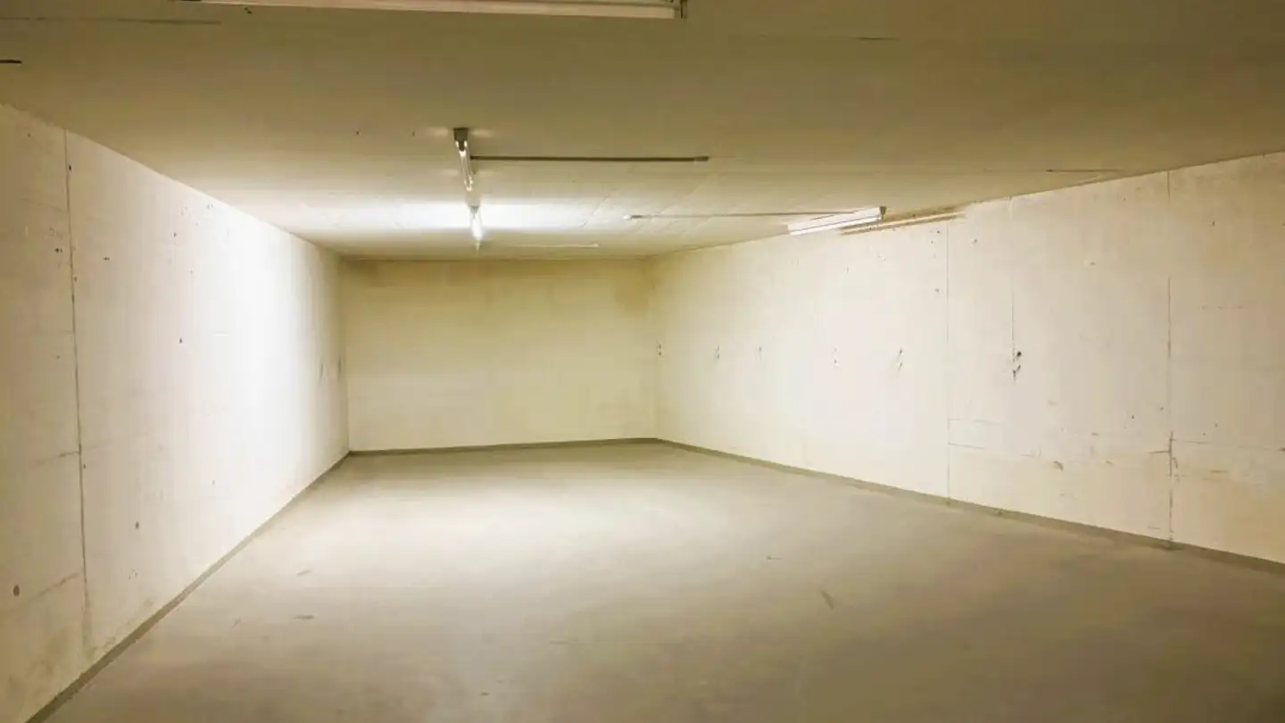 Commercial for rent - Hinterbergstrasse 28, 6312 Steinhausen