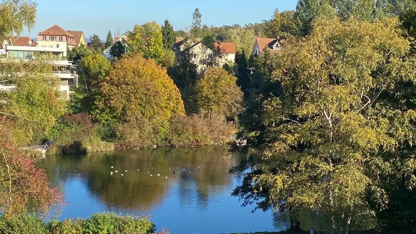 Wohnung mieten - Turnerweg 7, 8953 Dietikon - Foto 3