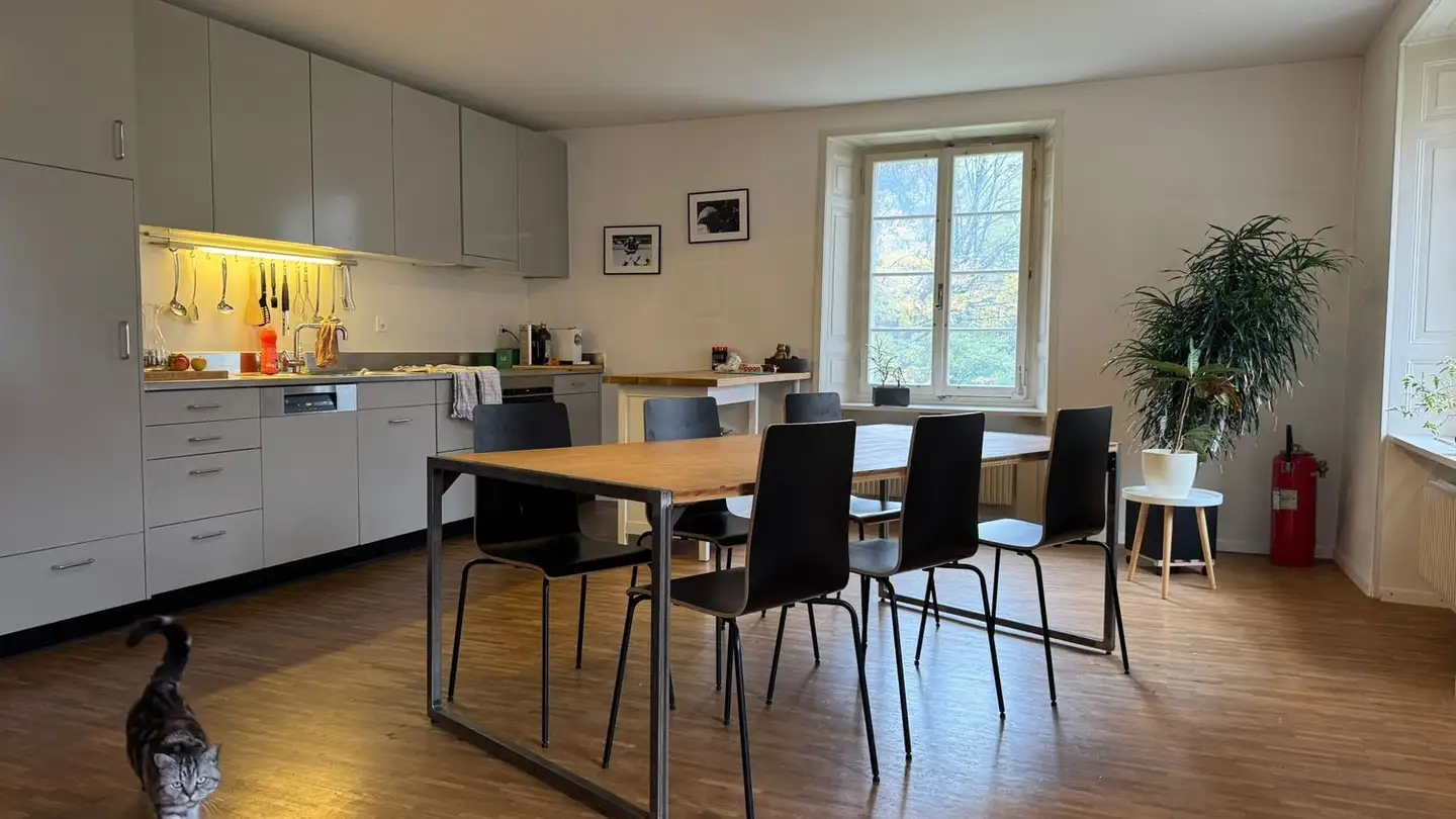 Appartamento in affitto - 4710 Balsthal