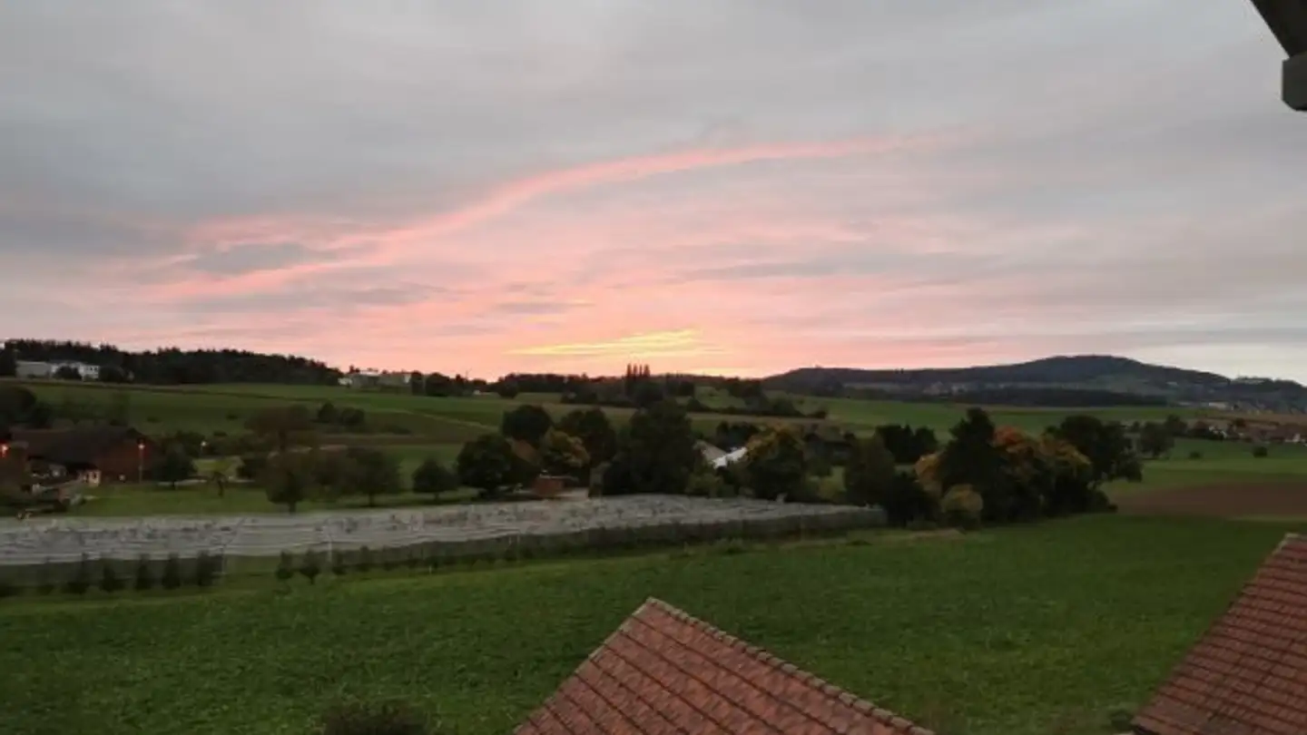 Wohnung mieten - 8156 Oberhasli - Foto 3